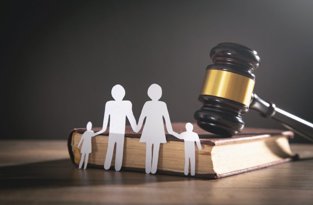 Navigating Divorce Proceedings: Legal Guidance from Experienced Family Lawyers